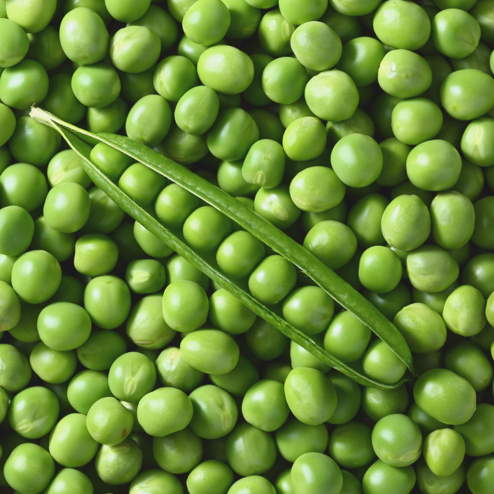 Pea