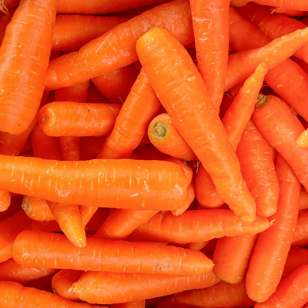 Carrot Extract
