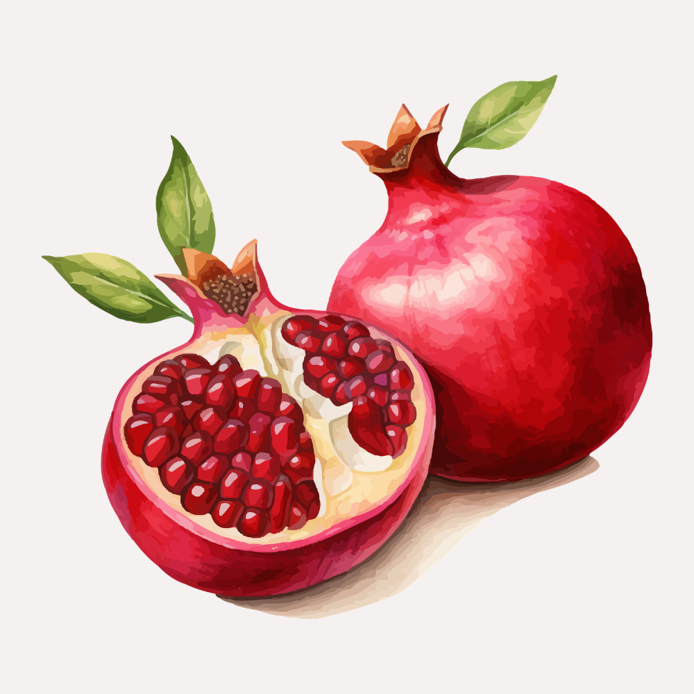 Pomegranate