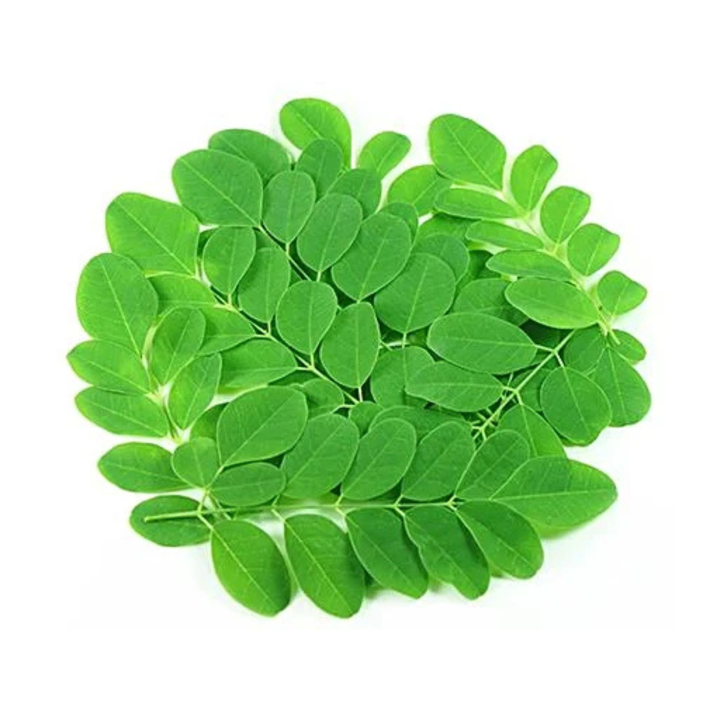 Moringa 